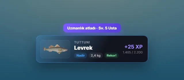 Balık tutuldu bildirimi